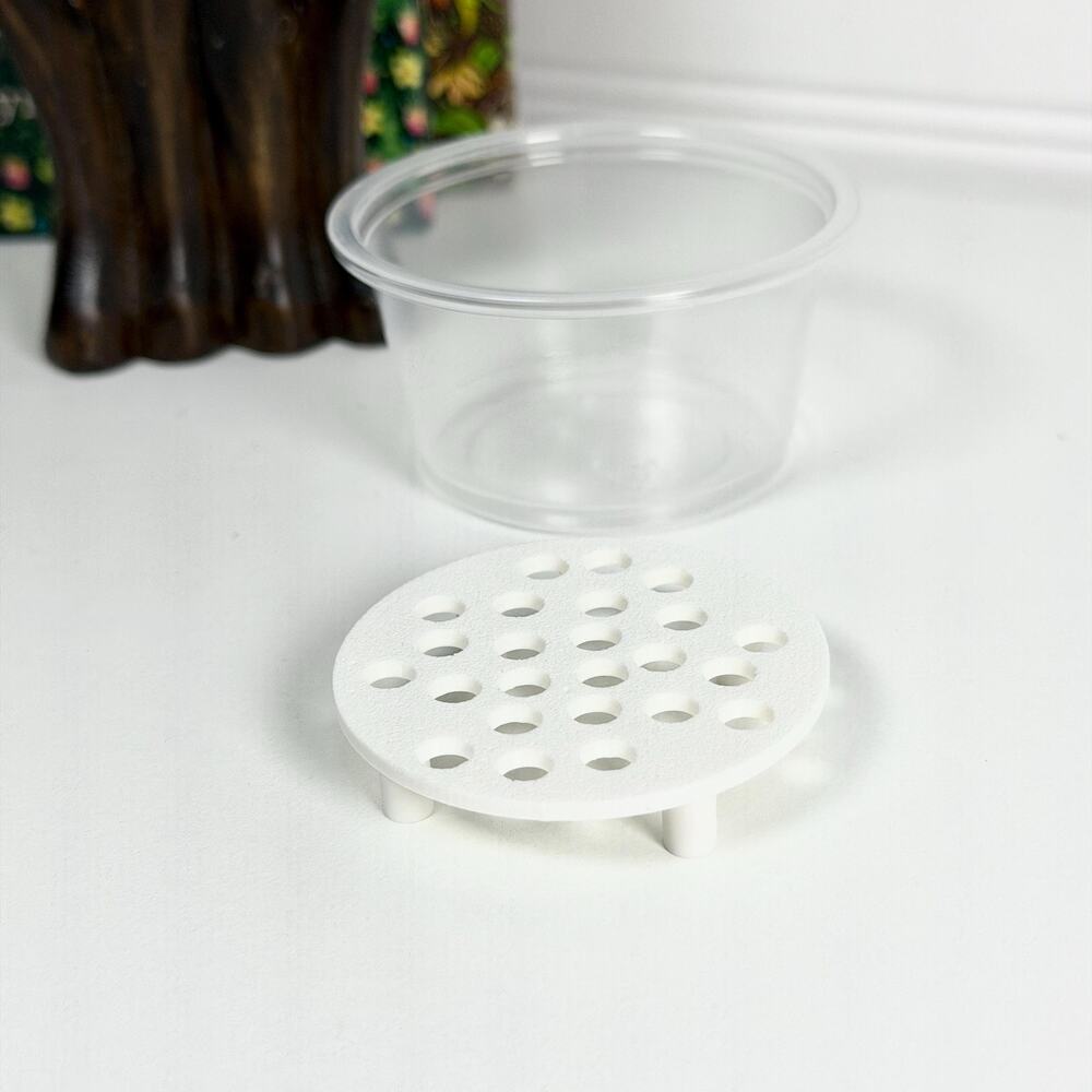 Corm Risers, Alocasia Corms Propagation Disks - Set of 10 Risers and Cups